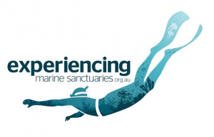 Experiencing Marine Sanctuaries