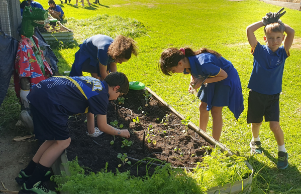 Gardening Club